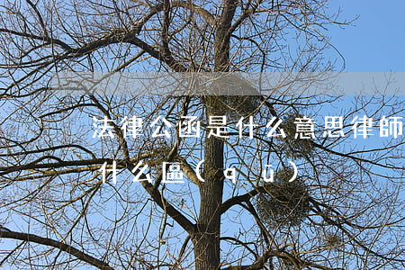 法律公函是什么意思(律師公函跟法院公函有什么區(qū)別)