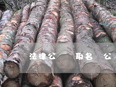 法律公眾號取名(給公眾號取名)