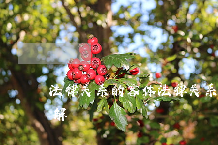 法律关系的客体(法律关系的客体怎么通俗理解)
