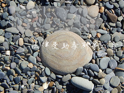 法律受助条列第1条~15条