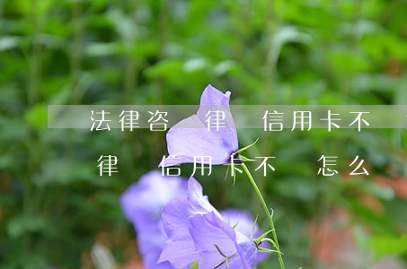 法律咨詢律師信用卡不還怎么辦-法律咨詢律師信用卡不還怎么辦呢