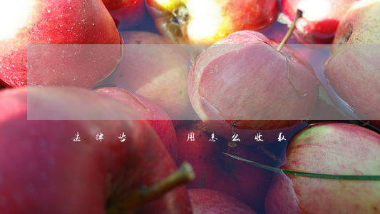 法律咨詢費用怎么收取