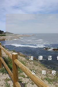 法律咨询公司如何收取服务费,法律咨询服务公司收费标准 法律咨询公司如何收取服务费,法律咨询服务公司收费标准