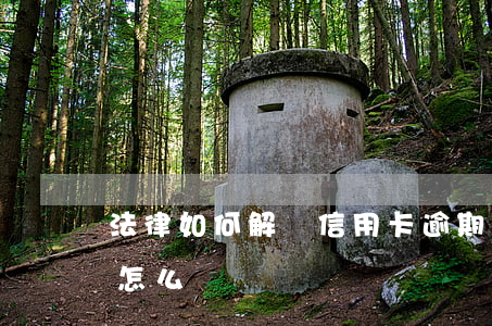 法律如何解決信用卡逾期(信用卡逾期卡失效怎么還)