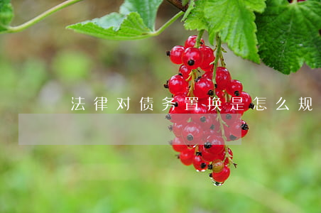 法律对债务置换是怎么规定的