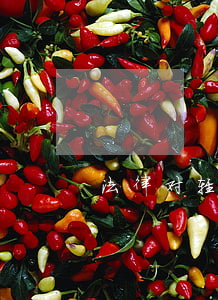 法律对轻伤的鉴定标准
