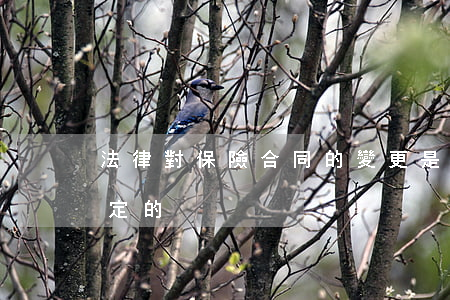 法律對保險合同的變更是怎樣規(guī)定的