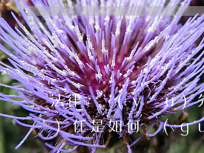 法律對優(yōu)先承擔的民事責(zé)任是如何規(guī)定的