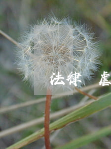 法律對虐待家庭成員是怎么處罰的
