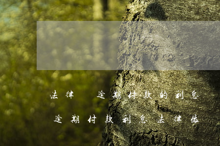 法律對逾期付款的利息標準規(guī)定(逾期付款利息法律依據(jù))