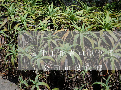 法律工作者可以代理訴訟嗎(法律服務(wù)公司可以代理訴訟業(yè)務(wù)嗎)