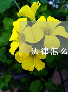 法律怎么起诉(法院起诉是怎么起诉)