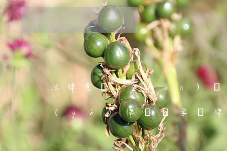 法律意見(jiàn)書(shū)要兩個(gè)律師簽字嗎(律師給法院的法律意見(jiàn)書(shū))