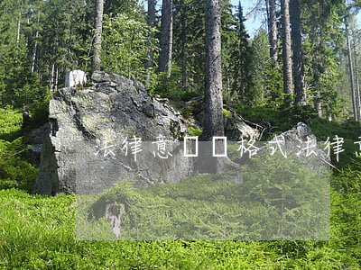 法律意見書格式，法律意見書格式范文