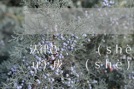 法律意見書(開設(shè)賭場)(不構(gòu)成開設(shè)賭場罪的法律意見書)