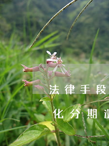 法律手段個(gè)性化分期 個(gè)性化分期還款協(xié)議的最長(zhǎng)期限不得超過(guò)多少年