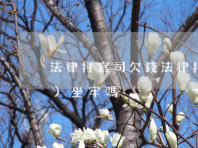法律打官司欠錢 法律打官司欠錢會(huì)坐牢嗎