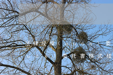 法律授權(quán)委托書(法律授權(quán)委托書格式樣本格)