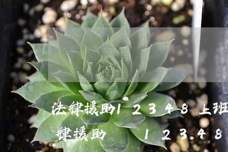 法律援助12348上班時(shí)間(法律援助電話12348)