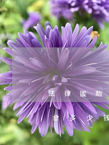 法律援助一次给律师多少钱(法律援助律师能拿多少钱)