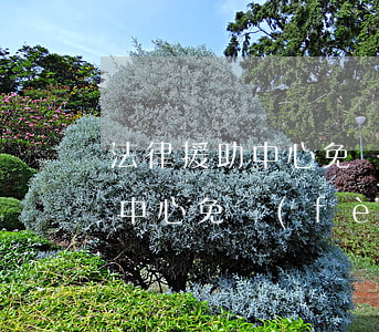 法律援助中心免費(fèi)條件(法律援助中心免費(fèi)條件怎么申請(qǐng))