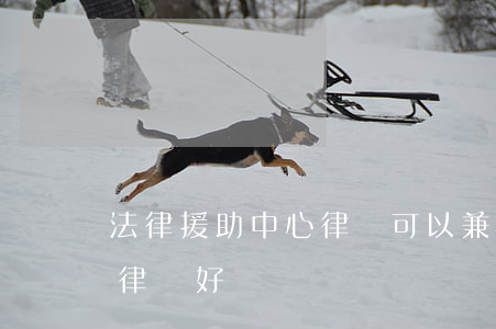 法律援助中心律師可以兼職嗎(法律援助中心律師好嗎)