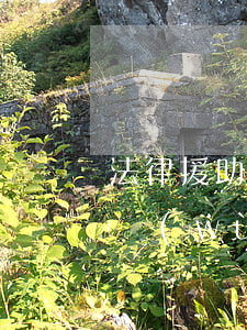 法律援助中心律師靠譜嗎(法律援助與律師事務(wù)所一樣靠譜嗎)