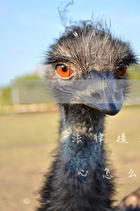 法律援助中心怎么申請免費律師(法律援助中心怎么申請免費律師困難戶工資)