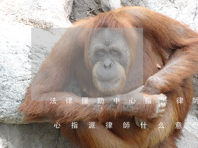 法律援助中心指派律師什么意思(法律援助中心指派律師什么意思)