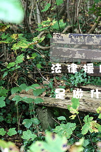 法律援助中心是干什么的(法律援助服務中心是做什么的)