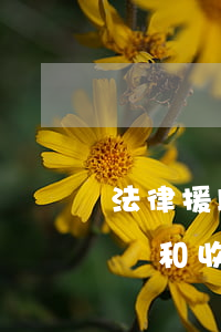 法律援助中心的律師怎么樣(法律援助中心律師和收費(fèi)律師一樣嗎)