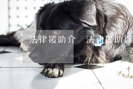 法律援助介紹(法律援助百度百科)