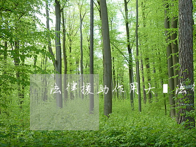法律援助作用大嗎(法律援助是干什么用的)