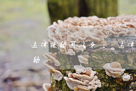 法律援助可以兼職嗎(法律援助能提供什么幫助)