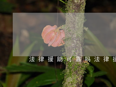 法律援助可靠吗(法律援助可靠吗?)