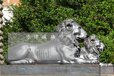 法律援助向哪里申請(qǐng)(申請(qǐng)法律援助應(yīng)該去哪)