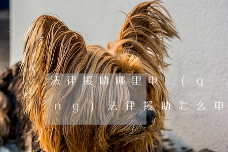 法律援助哪里申請(qǐng)(申請(qǐng)法律援助怎么申請(qǐng))