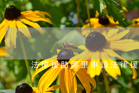 法律援助哪里申請(法律援助申請條件)