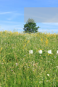 法律援助多少錢(法律援助多少錢一次)