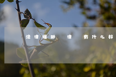 法律援助對律師有什么好處(法律援助好不好)