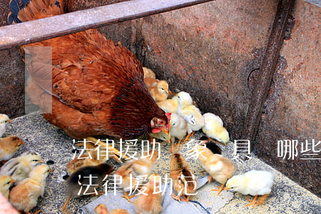 法律援助對象應具備哪些條件(什么條件符合法律援助范圍?)