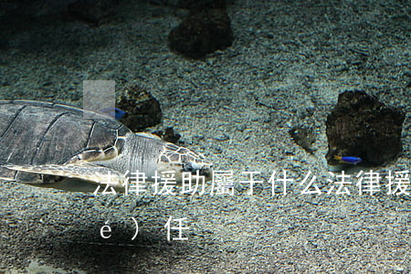 法律援助屬于什么(法律援助屬于什么責(zé)任)
