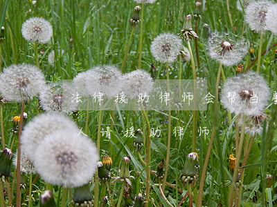 法律援助律师会帮当事人取证吗(法院为当事人请援助律师)