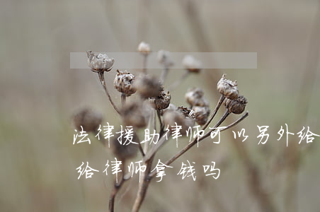 法律援助律师可以另外给钱吗(法律援助政府给律师拿钱吗)
