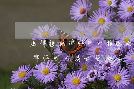 法律援助律师可以指派两个吗(法律援助指派律师可以请求更换吗)