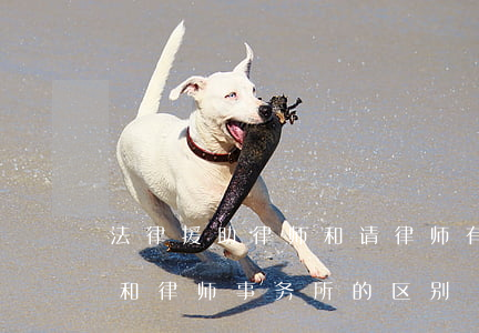 法律援助律师和请律师有什么区别(法律援助和律师事务所的区别)