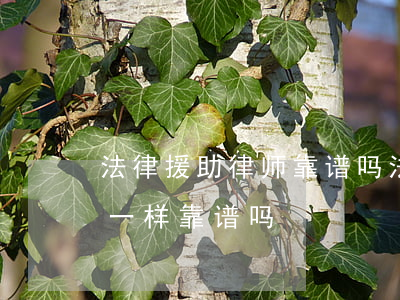 法律援助律师靠谱吗(法律援助与律师事务所一样靠谱吗)