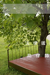 法律援助律師可以幫忙申請嗎(申請了法律援助,律師給做什么?)