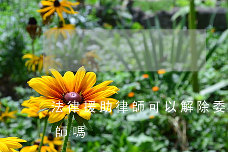 法律援助律師可以解除委托嗎(法院有援助律師嗎)
