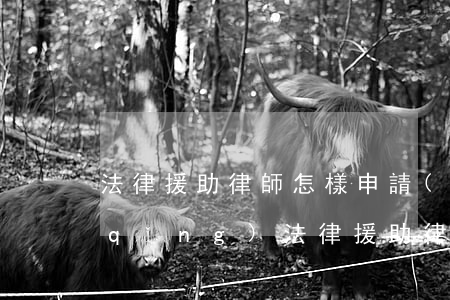 法律援助律師怎樣申請(qǐng)(申請(qǐng)法律援助律師條件)